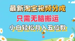 （11744期）最新淘宝视频分成，只需无脑搬运，小白也能轻松月入五位数，可矩阵批量…-旺仔资源库