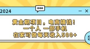 （11749期）黄金期项目，电商搞钱！一个人，一部手机，在家可做，每天收入500+-旺仔资源库