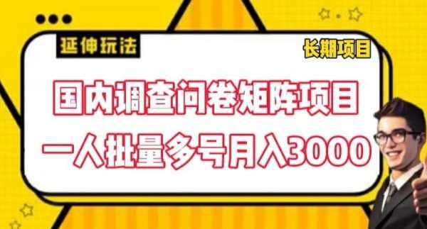 国内调查问卷矩阵项目，一人批量多号月入3000【揭秘】-旺仔资源库