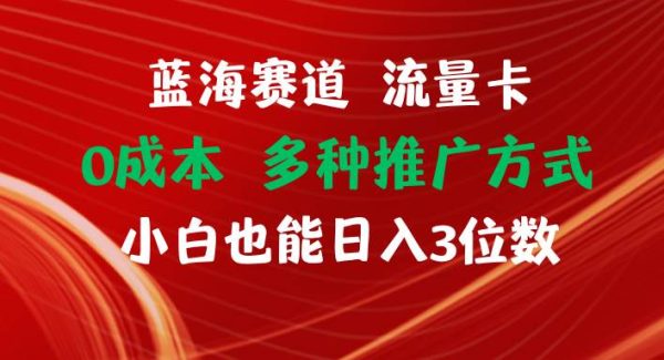 （11768期）蓝海赛道 流量卡 0成本 小白也能日入三位数-旺仔资源库