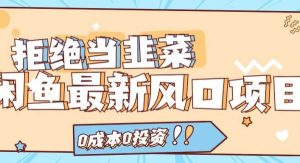 （11781期）拒绝当韭菜！闲鱼最新风口项目，0成本0投资，当日出单，日入1000+-旺仔资源库