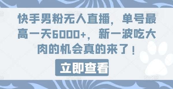 快手男粉无人直播，单号最高一天6000+，新一波吃大肉的机会真的来了-旺仔资源库