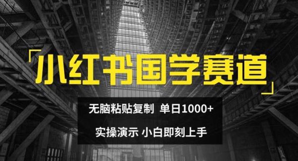 小红书国学赛道，无脑粘贴复制，单日1K，实操演示，小白即刻上手【揭秘】-旺仔资源库