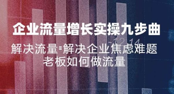 （11822期）企业流量增长实战九步曲，解决流量=解决企业焦虑难题，老板如何做流量-旺仔资源库