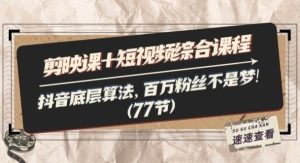 （11821期）剪映课+短视频综合课程：抖音底层算法，百万粉丝不是梦!（77节）-旺仔资源库