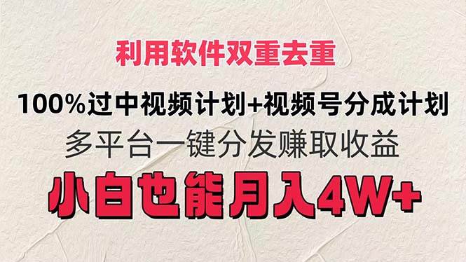 （11862期）利用软件双重去重，100%过中视频+视频号分成计划小白也可以月入4W+-旺仔资源库