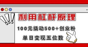 （11859期）利用杠杆100元撬动500+创业粉，单日变现5位数-旺仔资源库