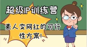 超级IP训练营-IP大课，素人变网红的可行性方案！（61节）-旺仔资源库