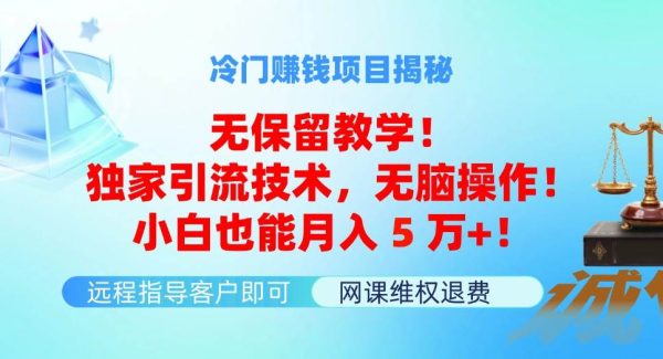 （11864期）冷门赚钱项目无保留教学！独家引流技术，无脑操作！小白也能月入5万+！-旺仔资源库