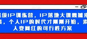 超级IP训练营，IP落地大课震撼来袭，个人IP的时代才刚刚开始，素人变网红的可行性方案-旺仔资源库