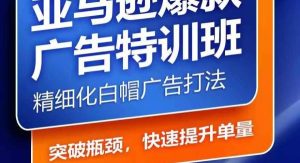 亚马逊爆款广告特训班，快速掌握亚马逊关键词库搭建方法，有效优化广告数据并提升旺季销量-旺仔资源库