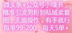 微头条+公众号小绿书，精准引流男粉到私域卖套图，无脑操作，有手就行，每单99-200，每天5单-旺仔资源库