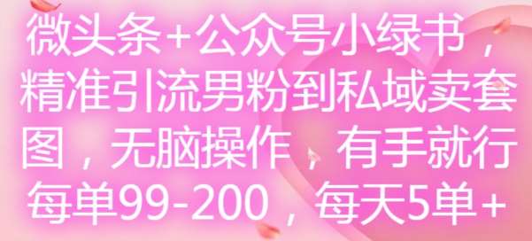 微头条+公众号小绿书，精准引流男粉到私域卖套图，无脑操作，有手就行，每单99-200，每天5单-旺仔资源库