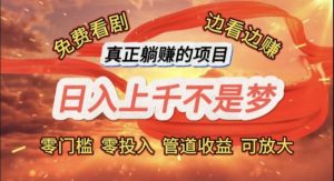 （11866期）免费看剧，边看边赚，日入上千不是梦，一个真正的躺赚项目-旺仔资源库