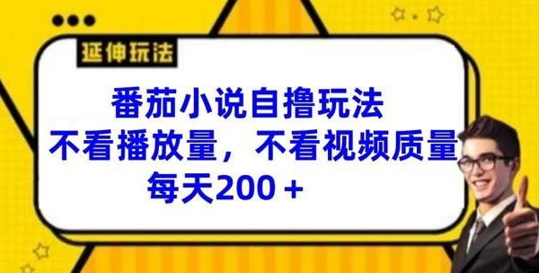 番茄小说自撸玩法，不看播放量，不看视频质量，每天200+【揭秘】-旺仔资源库