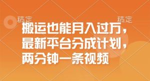 （11874期）搬运也能月入过万，最新平台分成计划，一万播放一百米，一分钟一个作品-旺仔资源库