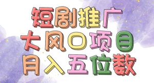 （11879期）拥有睡眠收益的短剧推广大风口项目，十分钟学会，多赛道选择，月入五位数-旺仔资源库