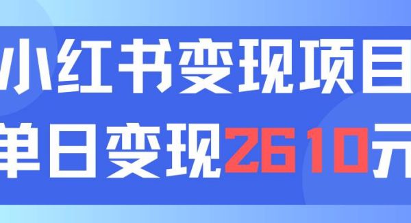 （11885期）利用小红书卖资料单日引流150人当日变现2610元小白可实操（教程+资料）-旺仔资源库