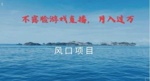 不露脸不出镜，玩转找茬游戏，普通人实现月入过万的好项目-旺仔资源库