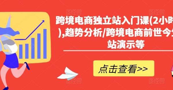 跨境电商独立站入门课(2小时精华),趋势分析/跨境电商前世今生/建站演示等-旺仔资源库