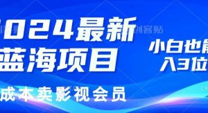 （11894期）2024最新蓝海项目，0成本卖影视会员，小白也能日入3位数-旺仔资源库