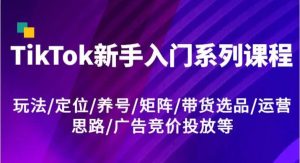 TikTok新手入门系列课程，玩法/定位/养号/矩阵/带货选品/运营思路/广告竞价投放等-旺仔资源库