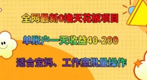 全网最新0撸天花板项目 单账户一天收益40-200 适合宝妈、工作室批量操作-旺仔资源库