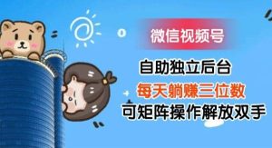 （11910期）微信视频号自助独立后台每天躺赚三位数可矩阵操作解放双手-旺仔资源库