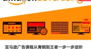 亚马逊广告课程，从青铜到王者一步一步进阶学习-旺仔资源库