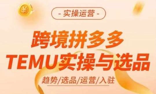 跨境拼多多TEMU实操与选品，多多temu跨境选品运营实操-旺仔资源库