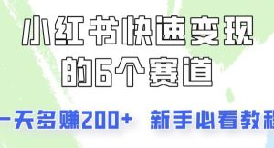 小红书快速变现的6个赛道，一天多赚200，所有人必看教程！-旺仔资源库