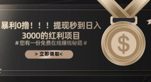 (11946期)暴利0撸!!!提现秒到日入3000的红利项目-旺仔资源库