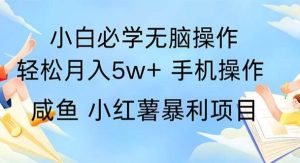 （11953期）2024热门暴利手机操作项目，简单无脑操作，每单利润最少500-旺仔资源库