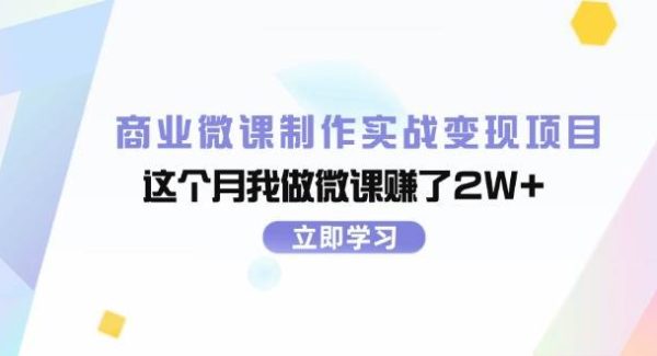 （11959期）商业微课制作实战变现项目，这个月我做微课赚了2W+-旺仔资源库