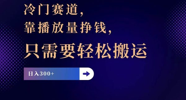 （11965期）冷门赛道，靠播放量挣钱，只需要轻松搬运，日赚300+-旺仔资源库