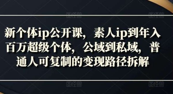 新个体ip公开课，素人ip到年入百万超级个体，公域到私域，普通人可复制的变现路径拆解-旺仔资源库