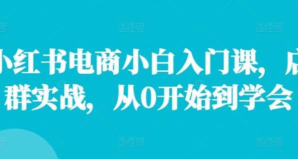 小红书电商小白入门课，店群实战，从0开始到学会-旺仔资源库