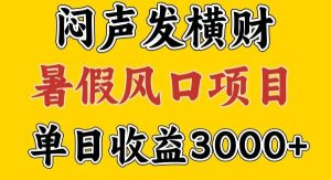 30天赚了7.5W 暑假风口项目,比较好学,2天左右上手-旺仔资源库
