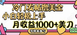 冷门发帖撸美金项目,月收益1000+美金,简单无脑,干就完了【揭秘】-旺仔资源库