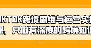 TIKTOK跨境思维与运营实操课,只做有深度的跨境知识-旺仔资源库