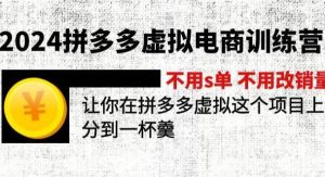（12024期）2024拼多多虚拟电商训练营 不s单 不改销量  做虚拟项目分一杯羹(更新10节)-旺仔资源库