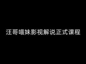汪哥影视解说正式课程:剪映/PR教学/视解说剪辑5大黄金法则/全流程剪辑7把利器等等-旺仔资源库