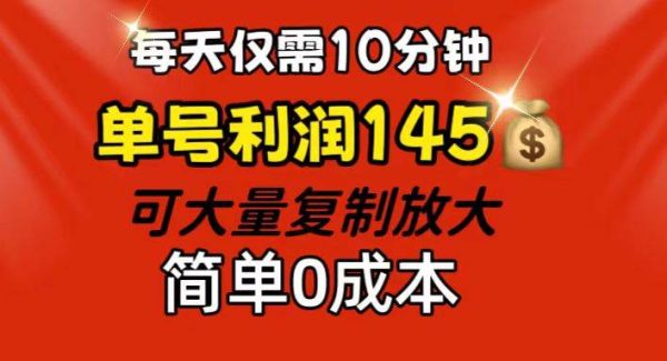 （12027期）每天仅需10分钟，单号利润145 可复制放大 简单0成本-旺仔资源库