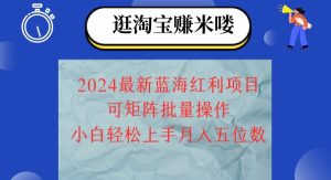 （12033期）2024淘宝蓝海红利项目，无脑搬运操作简单，小白轻松月入五位数，可矩阵…-旺仔资源库
