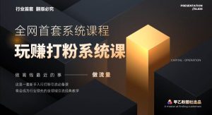 (12037期)全网首套系统打粉课,日入3000+,手把手各行引流SOP团队实战教程-旺仔资源库