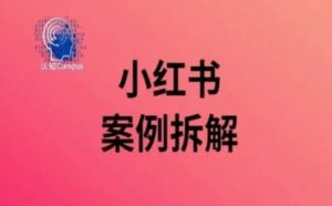 小红书案例拆解，深度解读小红书40万粉-旺仔资源库
