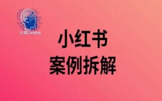 小红书案例拆解，深度解读小红书40万粉-旺仔资源库