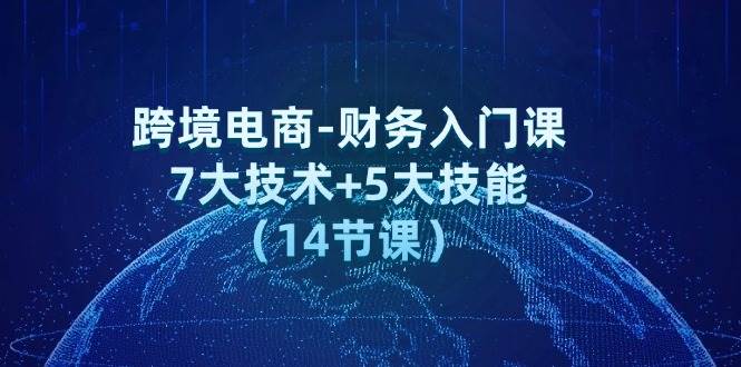 （12047期）跨境电商-财务入门课：7大技术+5大技能（14节课）-旺仔资源库