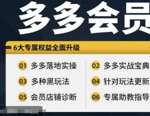 拼多多会员，拼多多实战宝典+实战落地实操，从新手到高阶内容全面覆盖-旺仔资源库