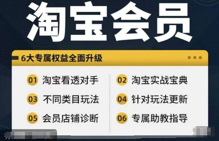 淘宝会员【淘宝所有课程，全面分析对手】，初级到高手全系实战宝典-旺仔资源库